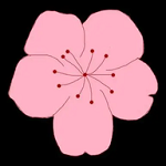 丝瓜视频app图片